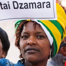  Zimbabwean protesters in London demand the release of pro-democracy activist Itai Dzamara. Photograph: Alamy Stock Photo