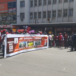 Scenes from the demo against police brutality. / Photo Credit: Heal Zimbabwe