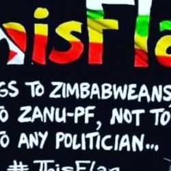 This flag belongs to Zimbabweans - Namate / Dailynews.co.zw